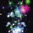 Фейерверк - салют Р8288 Нашествие (0,8