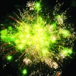 Фейерверк - салют ЕС474 Жаркое сафари (1
