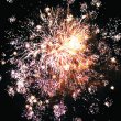 Фейерверк - салют Р7338 На коне (0,8