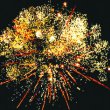 Римская свеча Р5720 Магнолия